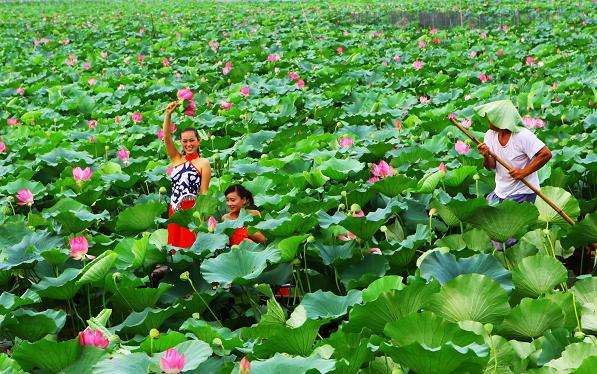 智慧旅游 景區(qū)升A